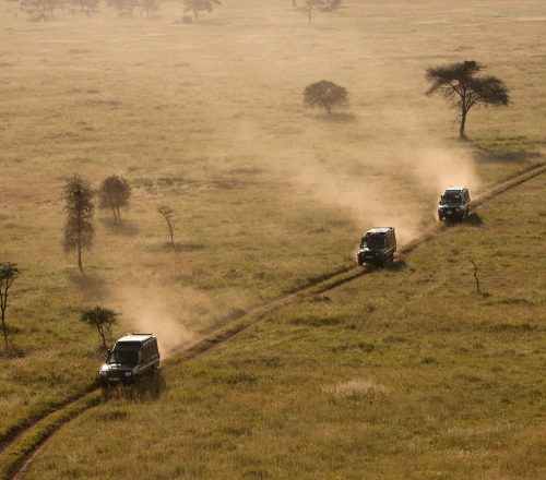 Sunset on the Serengeti—Africa