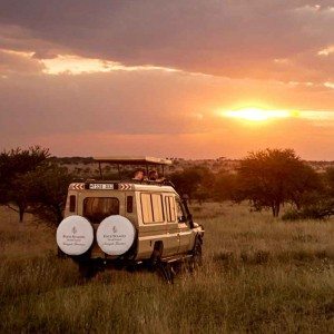 Four Seasons Safari Lodge, Serengeti jeep at sunset—Africa