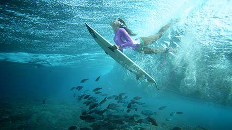 Серфинг на Мальдивах! Арендуйте гидросамолёт с командой из опытных гидов-серферов и найдите свою идеальную волну в уединенном тропическом раю. 