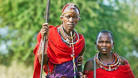 Conheça o Serengueti caminhando ao lado de um guia especializado em natureza e desvende os mistérios da vida selvagem africana no Discovery Centre, o primeiro museu interativo do gênero da África Oriental.