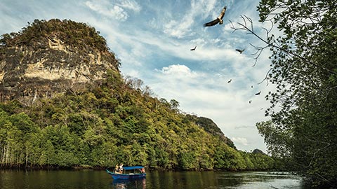 Совершите захватывающий эко-тур по дикой экзотической природе Геопарка в самом сердце Лангкави, находящегося под охраной ЮНЕСКО в сопровождении натуралиста курорта Four Seasons.