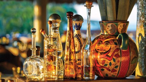 乘坐直升机前往墨西哥著名的Tequila镇，参观Jose Cuervo 龙舌兰酒厂，品尝美酒并享用午餐，龙舌兰的诞生秘密将在您眼前展开。