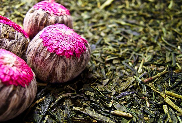 Sencha and Blooming Jasmine tea
