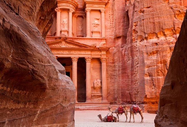 Camels outside Petra