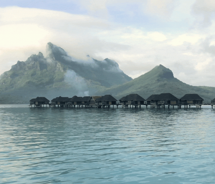 beneath the surface in Bora Bora