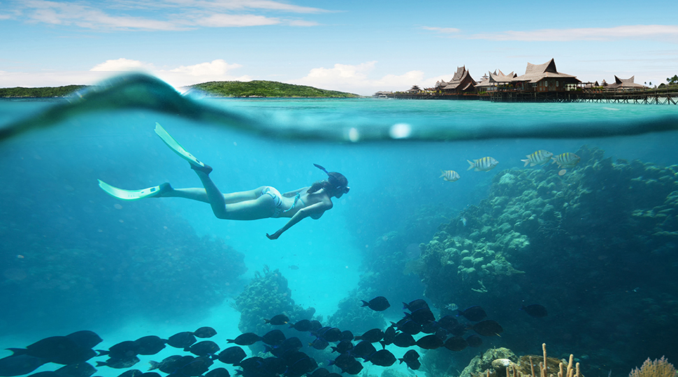Young Woman Snorkeling The Coral Reef In Tropical Sea