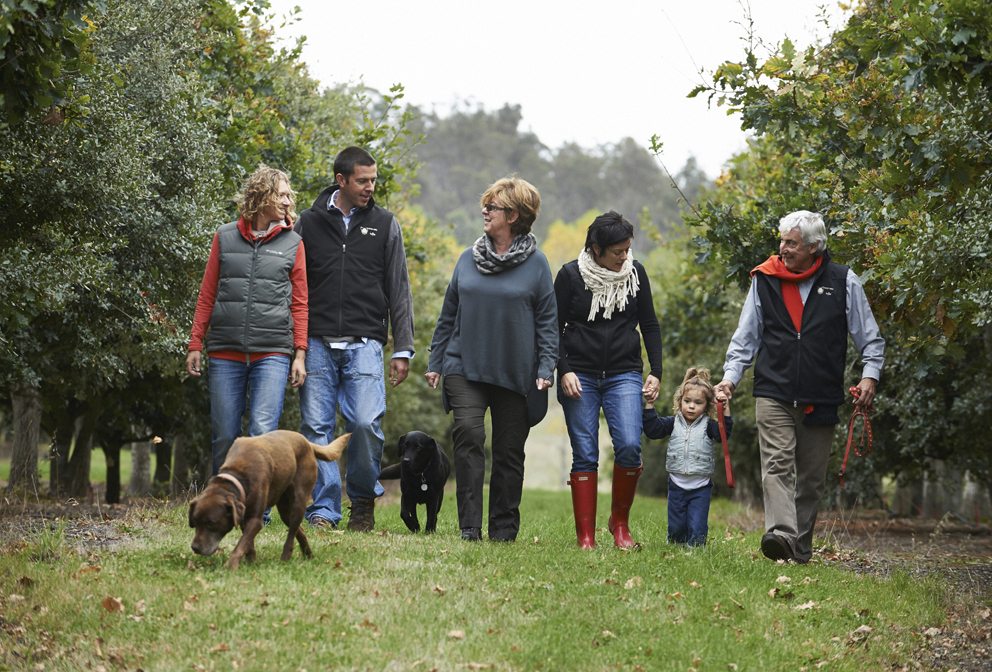 Group truffle hunting in Tamar Valley