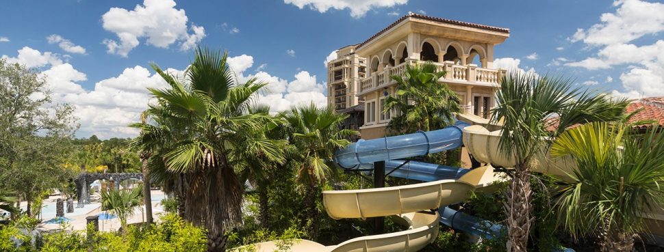 Palm trees and building