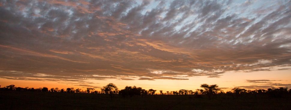 Serengeti sky