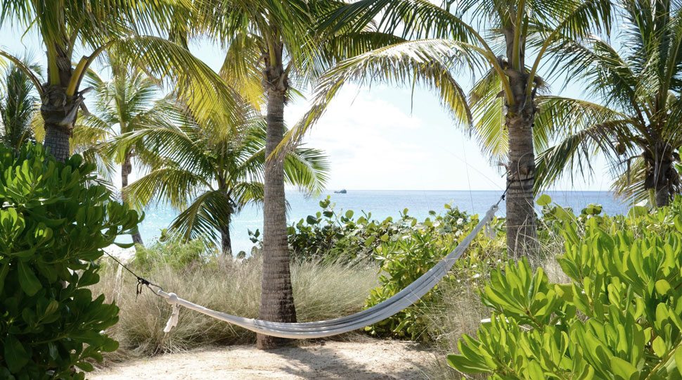 Anguilla hammock