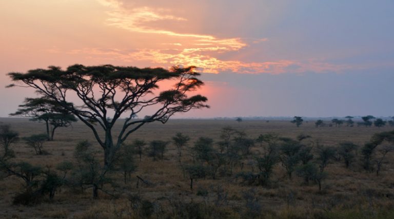Serengeti Safari Travel Experience | Tanzania | Four Seasons