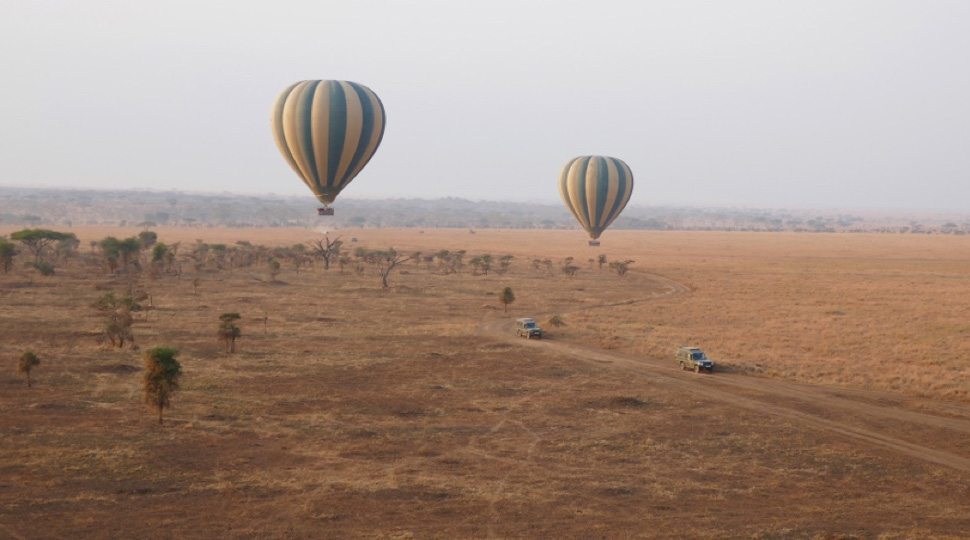 Hot Air balloons above the Serengeti