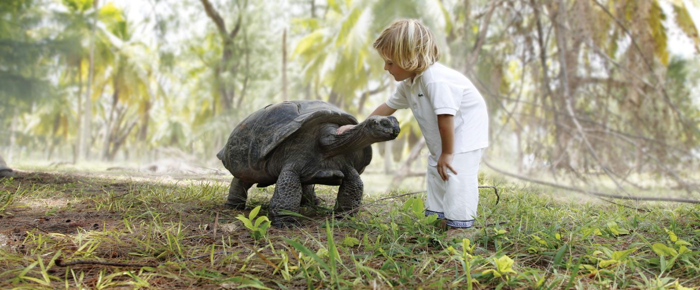 Meeting a Giant Tortoise