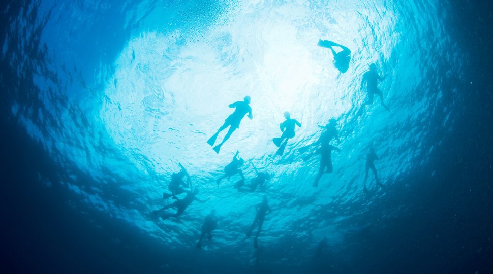 A group of people snorkelling