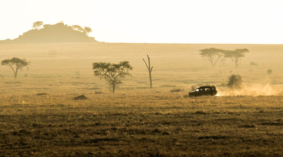 A safari tour from the Four Seasons Serengeti