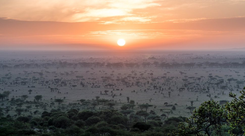 The view of the sunset from the Four Seasons Serengeti