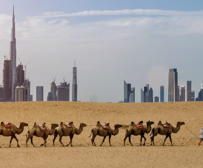 Dubai skyline from desert