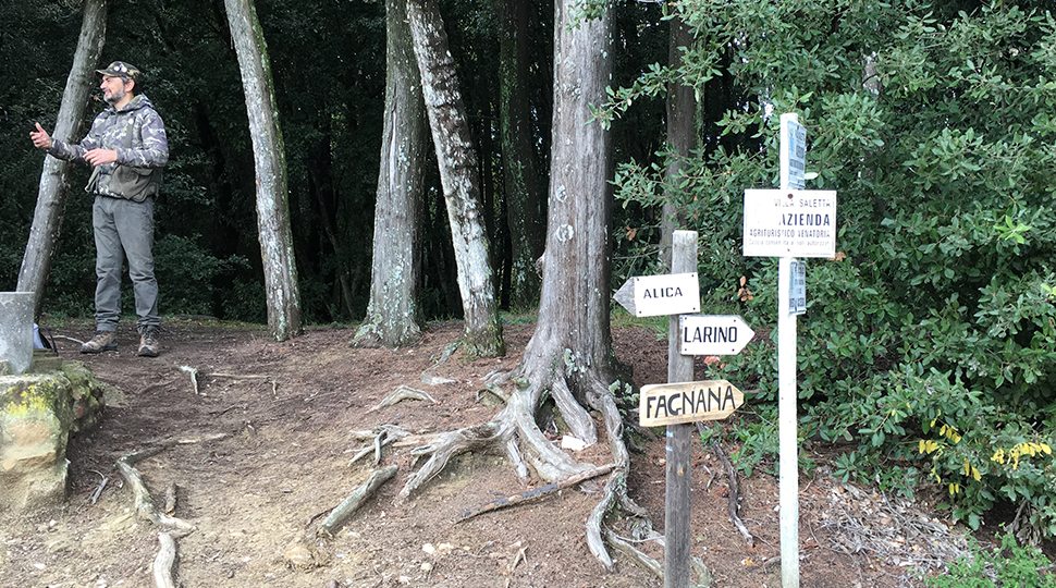 The site of the truffle hunting in Tuscany