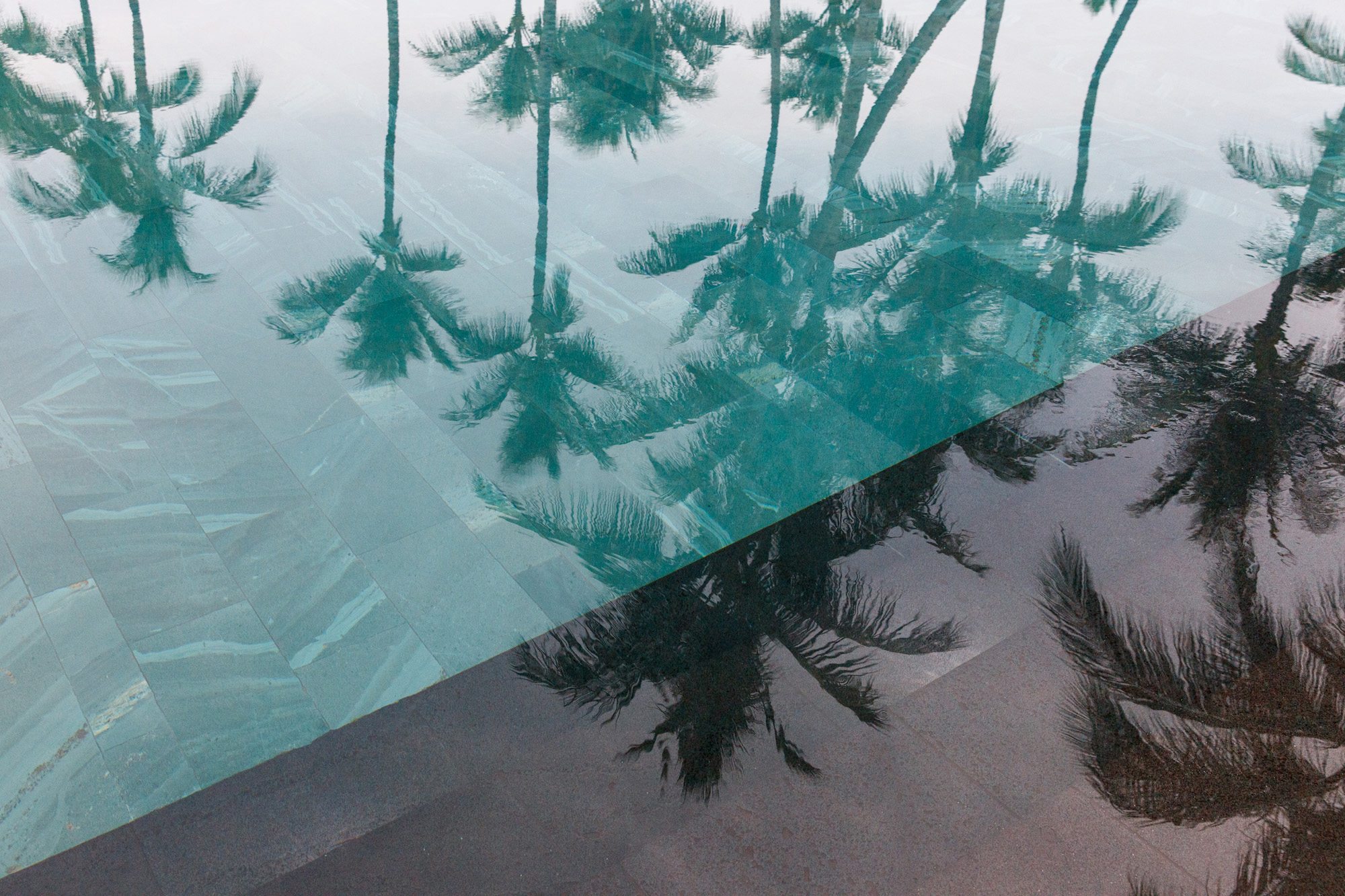 Hualalai teal and grey palm tree reflection