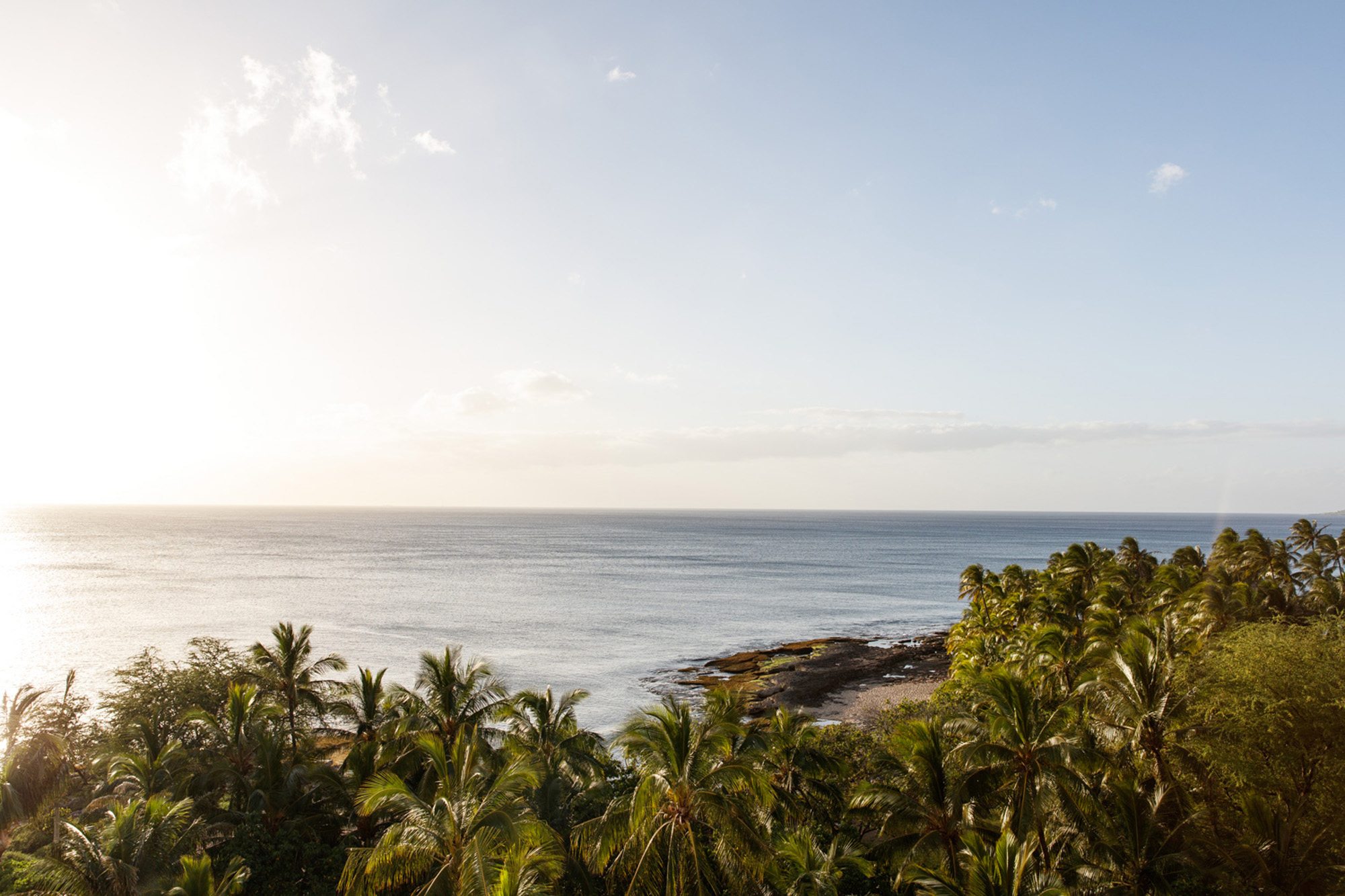 Oahu ocean, palm trees sunrise
