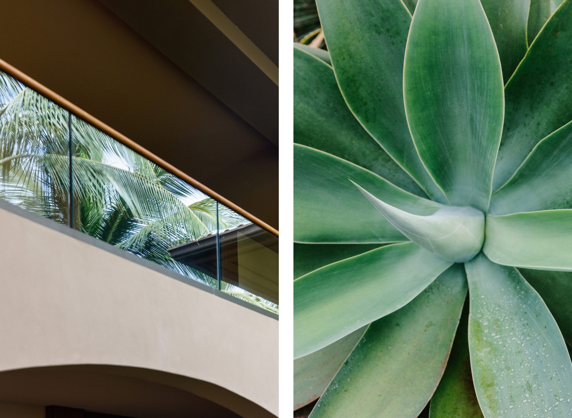 Lanai balcony with glass rail, aloe plant comparison