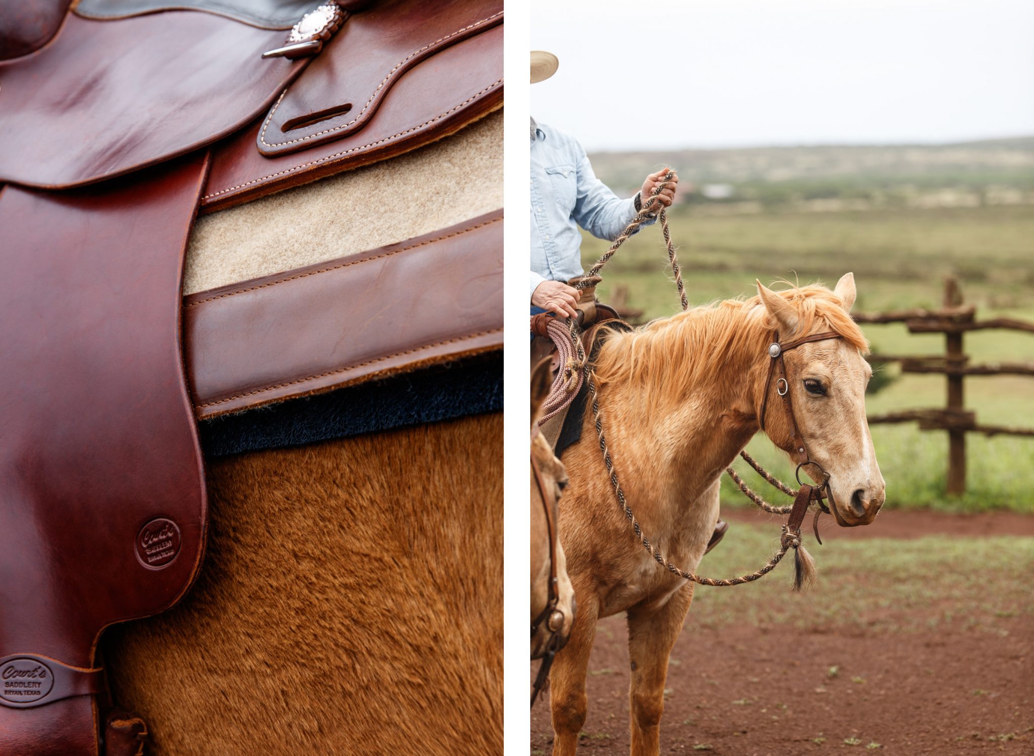 Lanai saddle detail, horse comparison