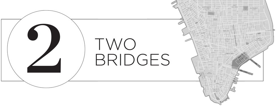 2 Two Bridges header with map