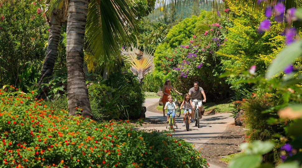 Family bike safari in Mauritius