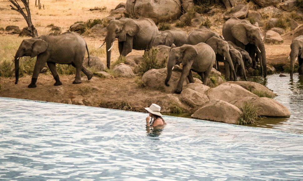 Infinity pool at Four Seasons Safari Lodge Serengeti