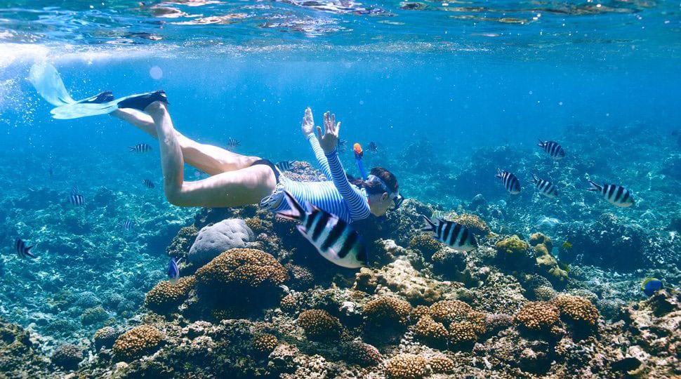 Bora Bora snorkelling