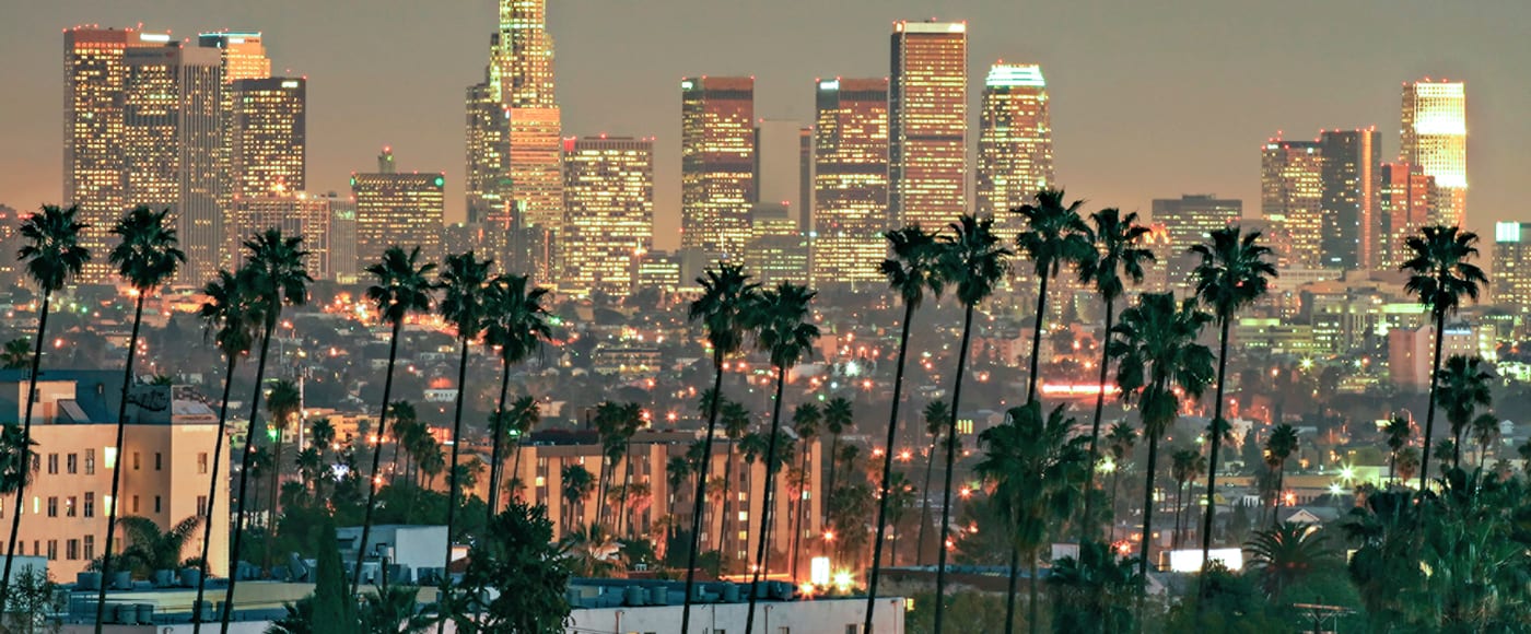 LA Skyline