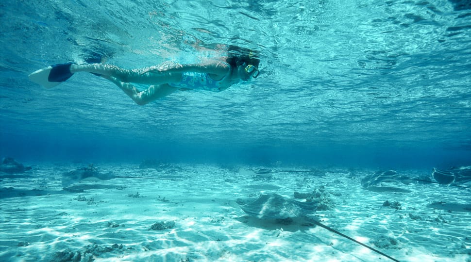 Bora Bora snorkeling