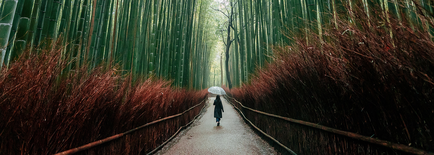 woman in bamboo forest