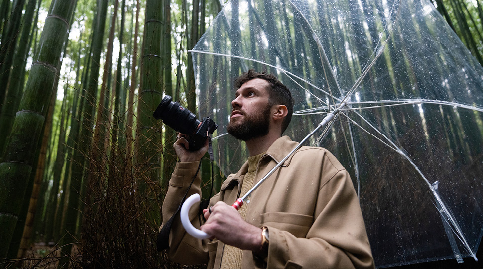 A man holds a clear umbrella and a camera while standing in a bamboo forest