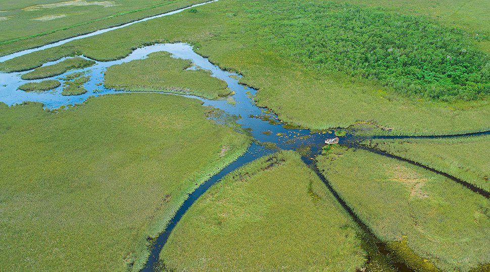 Everglades Roadtrips 970x540