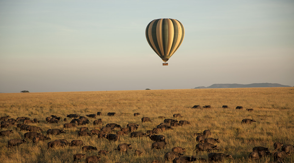 Hot-air balloon floats above animal herd in the Serengeti plains