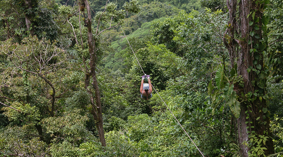 Canopy Tour In Costa Rica