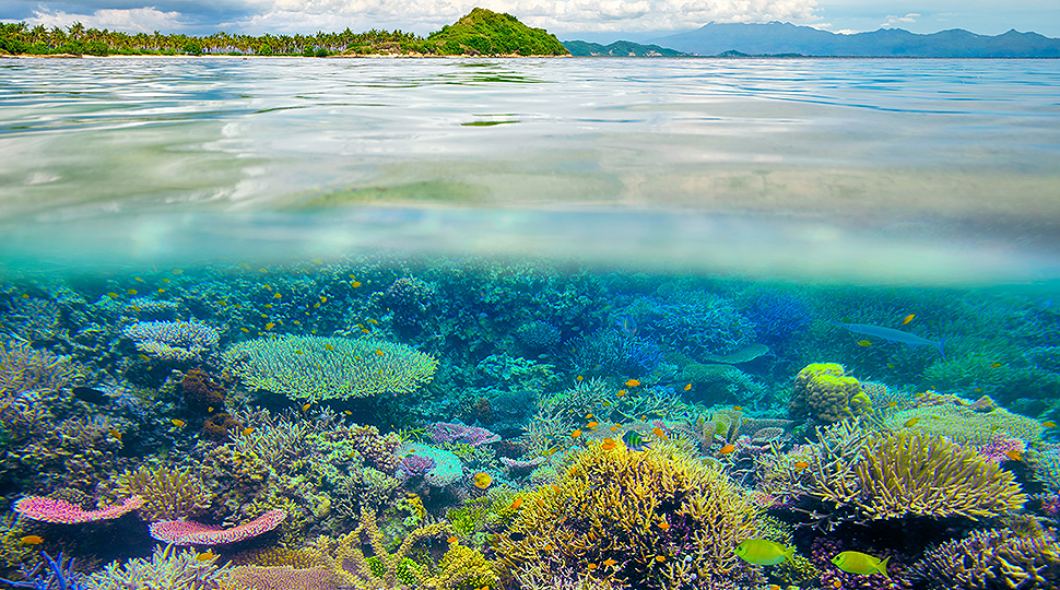 Beautiful Tropical Island And Coral Reef In Clear Waters