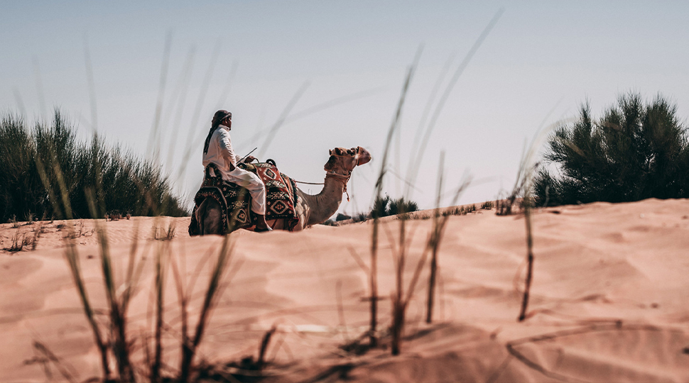 Man wearing all-white clothing sits on a camel sitting on the sand