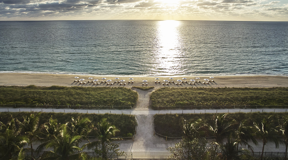 Aerial view of a walkway leading through a row of trees and greenery to the beach