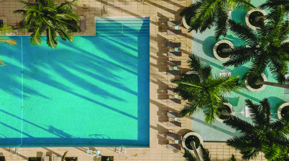 Aerial view of two outdoor pools, one filled with palm trees