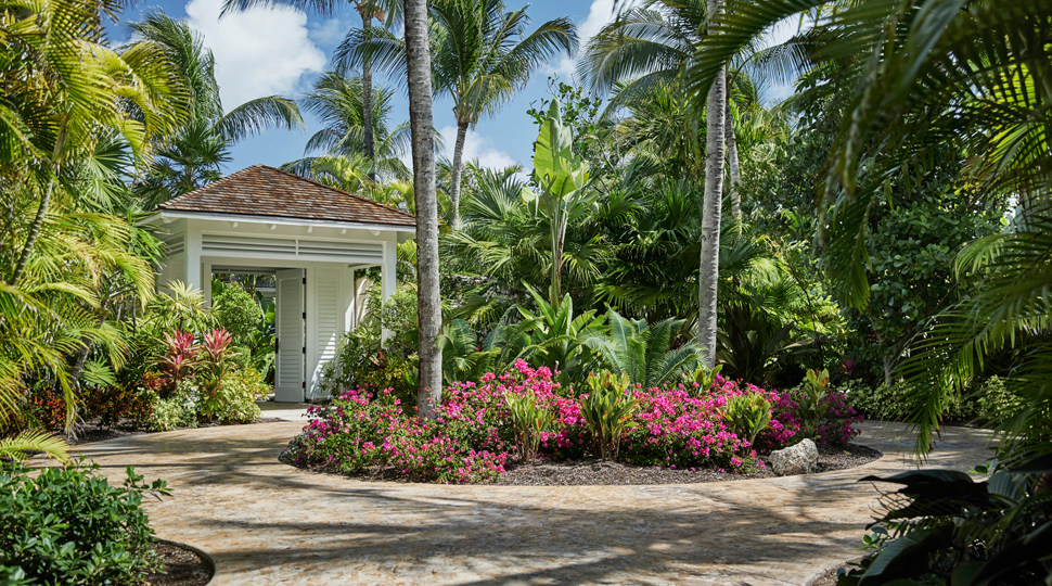 Circle driveway with lush, tropical landscaping