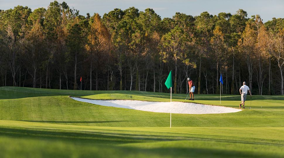 Sandbox and golf green with a green flag