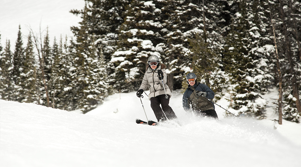 Two people ski through a snowy terrain with a row of evergreen trees behind them