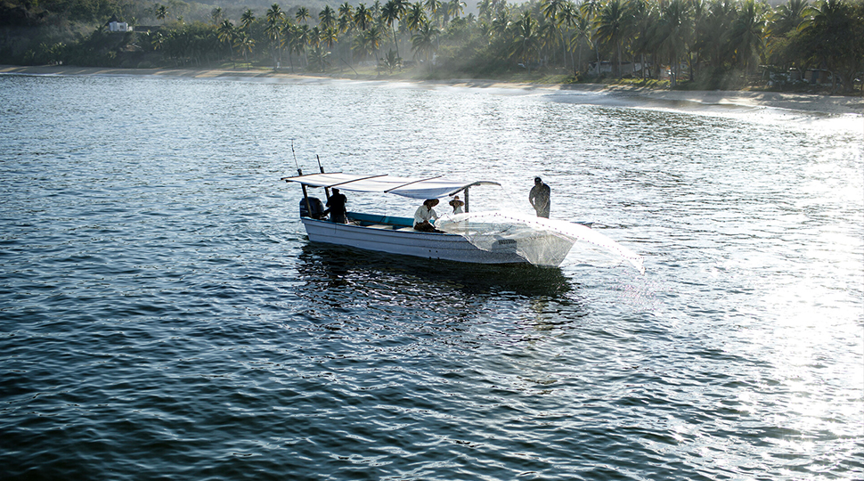 A small fishing boat carries four people who are throwing a fishing next over the side