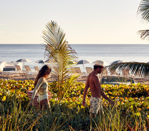 A group of people walking through tall grass and plants towards a beach.